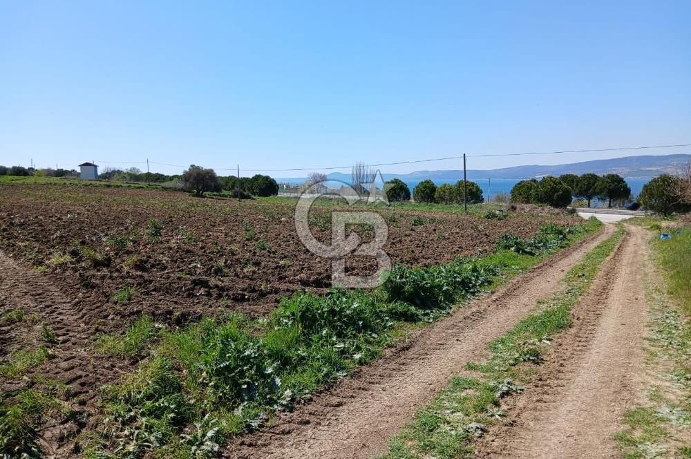 LAPSEKİ SULUCA DENİZ MANZARALI 5029 M2 SATILIK ARAZİ