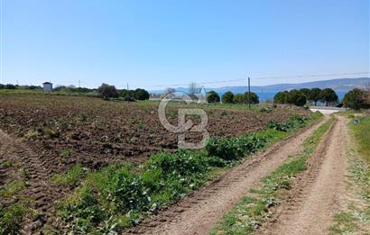 LAPSEKİ SULUCA DENİZ MANZARALI 5029 M2 SATILIK ARAZİ