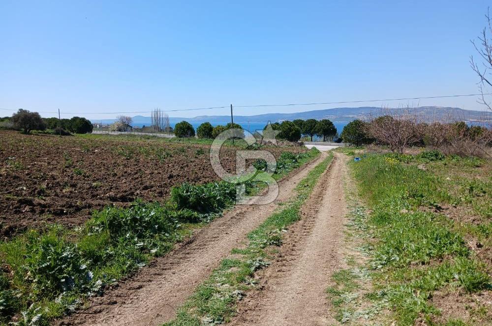 LAPSEKİ SULUCA DENİZ MANZARALI 5029 M2 SATILIK ARAZİ