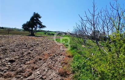 LAPSEKİ SULUCA DENİZ MANZARALI 5029 M2 SATILIK ARAZİ