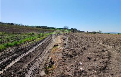 LAPSEKİ SULUCA DENİZ MANZARALI 5029 M2 SATILIK ARAZİ