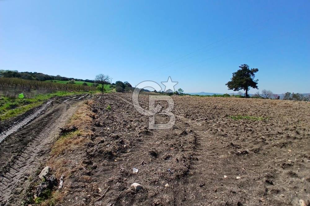 LAPSEKİ SULUCA DENİZ MANZARALI 5029 M2 SATILIK ARAZİ