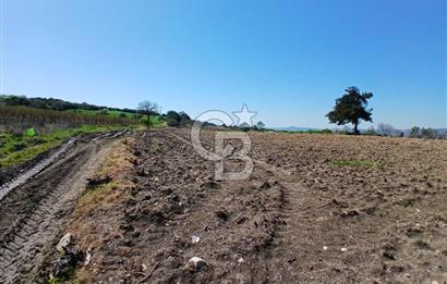 LAPSEKİ SULUCA DENİZ MANZARALI 5029 M2 SATILIK ARAZİ