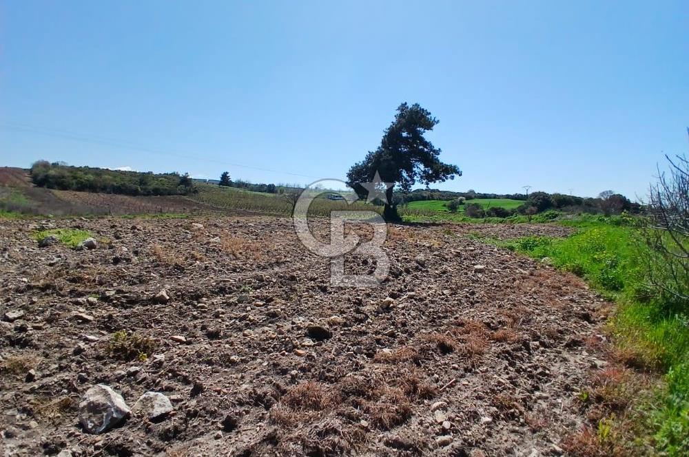 LAPSEKİ SULUCA DENİZ MANZARALI 5029 M2 SATILIK ARAZİ