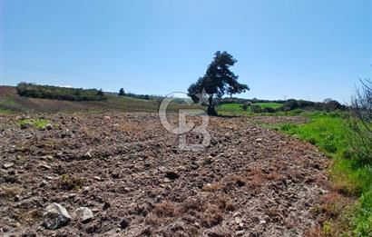 LAPSEKİ SULUCA DENİZ MANZARALI 5029 M2 SATILIK ARAZİ