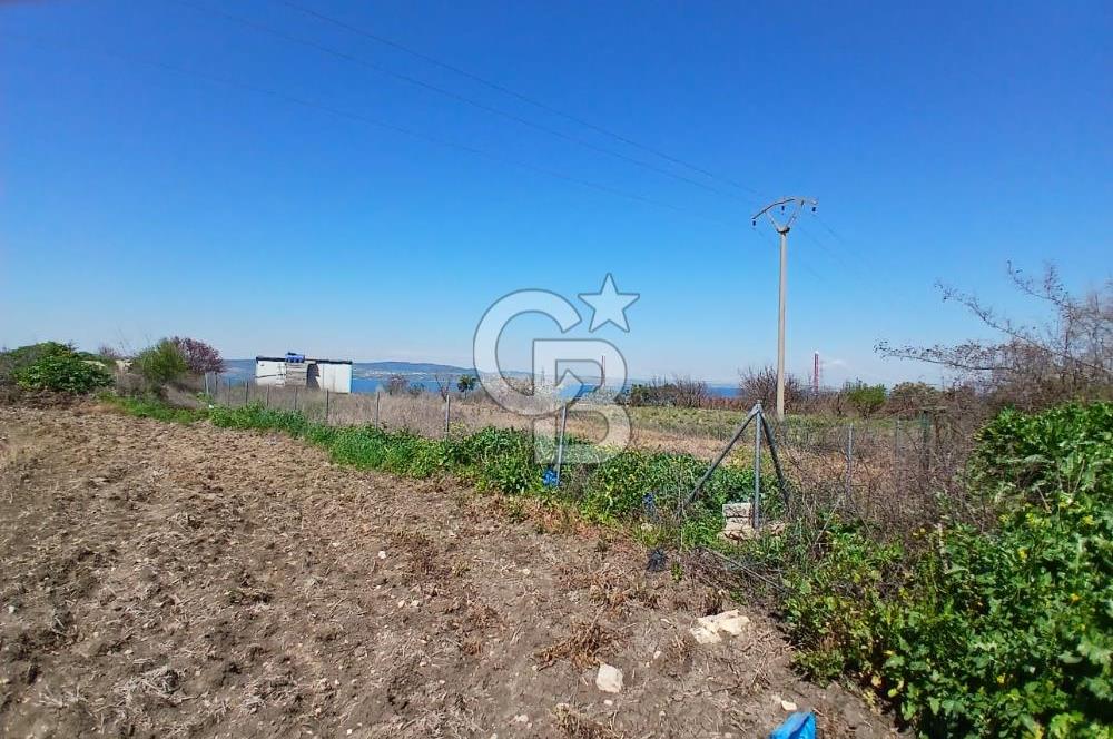 LAPSEKİ SULUCA DENİZ MANZARALI 5029 M2 SATILIK ARAZİ