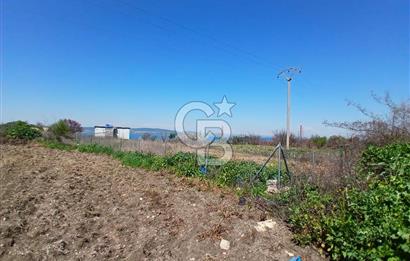 LAPSEKİ SULUCA DENİZ MANZARALI 5029 M2 SATILIK ARAZİ