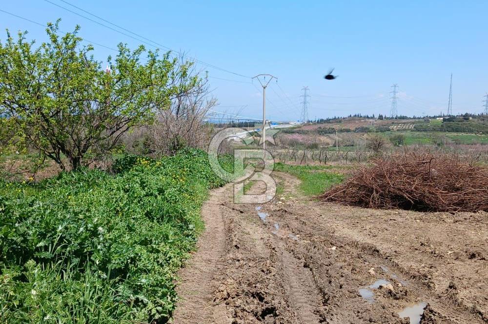 LAPSEKİ SULUCA DENİZ MANZARALI 5029 M2 SATILIK ARAZİ