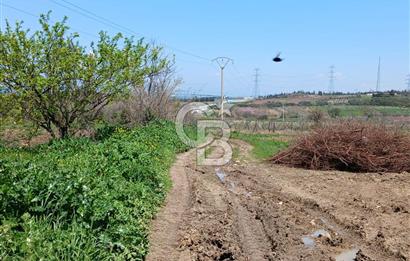 LAPSEKİ SULUCA DENİZ MANZARALI 5029 M2 SATILIK ARAZİ