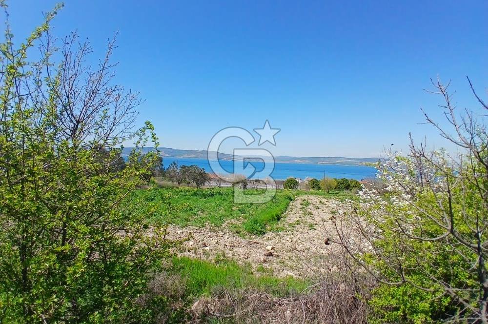 LAPSEKİ SULUCA DENİZ MANZARALI 5029 M2 SATILIK ARAZİ