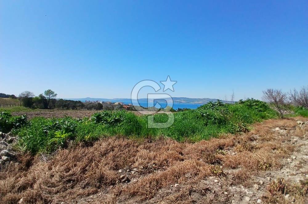 LAPSEKİ SULUCA DENİZ MANZARALI 5029 M2 SATILIK ARAZİ