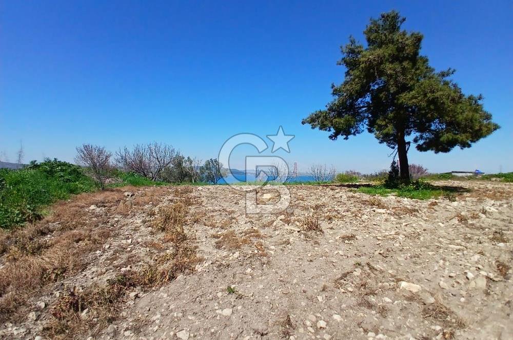 LAPSEKİ SULUCA DENİZ MANZARALI 5029 M2 SATILIK ARAZİ