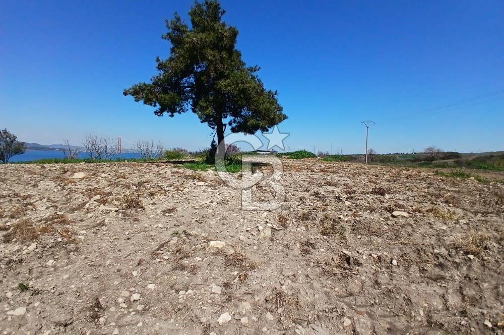LAPSEKİ SULUCA DENİZ MANZARALI 5029 M2 SATILIK ARAZİ