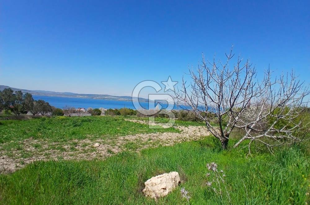 LAPSEKİ SULUCA DENİZ MANZARALI 5029 M2 SATILIK ARAZİ