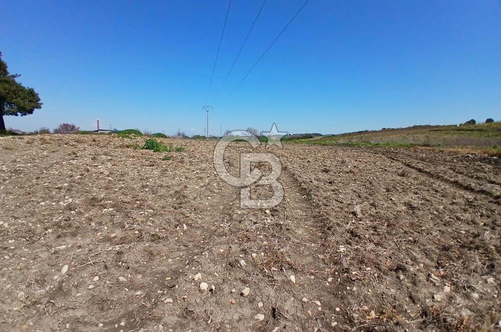 LAPSEKİ SULUCA DENİZ MANZARALI 5029 M2 SATILIK ARAZİ