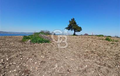 LAPSEKİ SULUCA DENİZ MANZARALI 5029 M2 SATILIK ARAZİ