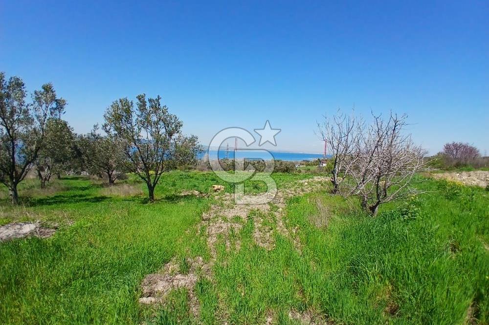 LAPSEKİ SULUCA DENİZ MANZARALI 5029 M2 SATILIK ARAZİ