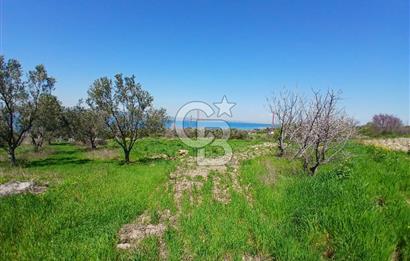 LAPSEKİ SULUCA DENİZ MANZARALI 5029 M2 SATILIK ARAZİ
