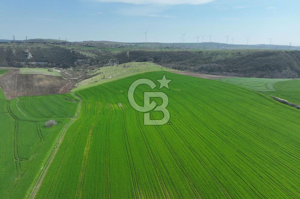 ÇATALCA İNCEĞİZDE SATILIK 1125 METRE ÇAPLI TARLA