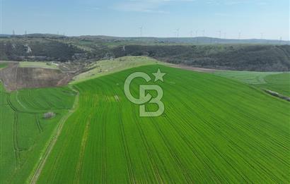 ÇATALCA İNCEĞİZDE SATILIK 1125 METRE ÇAPLI TARLA
