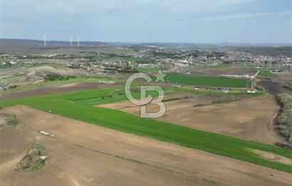 ÇATALCA İNCEĞİZDE SATILIK 1125 METRE ÇAPLI TARLA