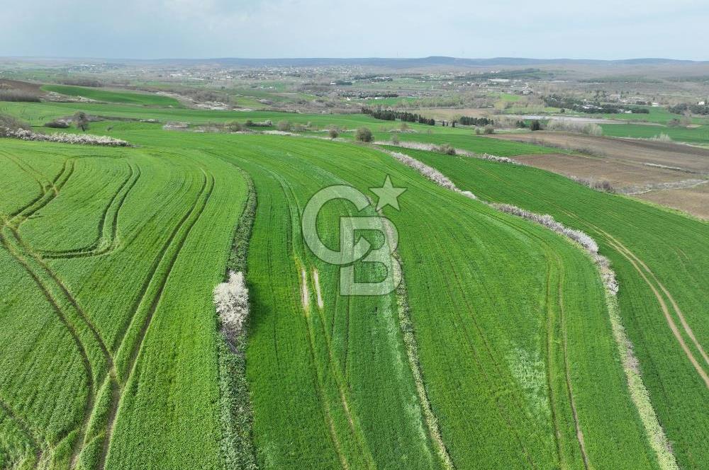 ÇATALCA İNCEĞİZDE SATILIK 1125 METRE ÇAPLI TARLA