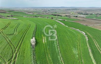 ÇATALCA İNCEĞİZDE SATILIK 1125 METRE ÇAPLI TARLA