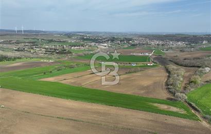 ÇATALCA İNCEĞİZDE SATILIK 1125 METRE ÇAPLI TARLA