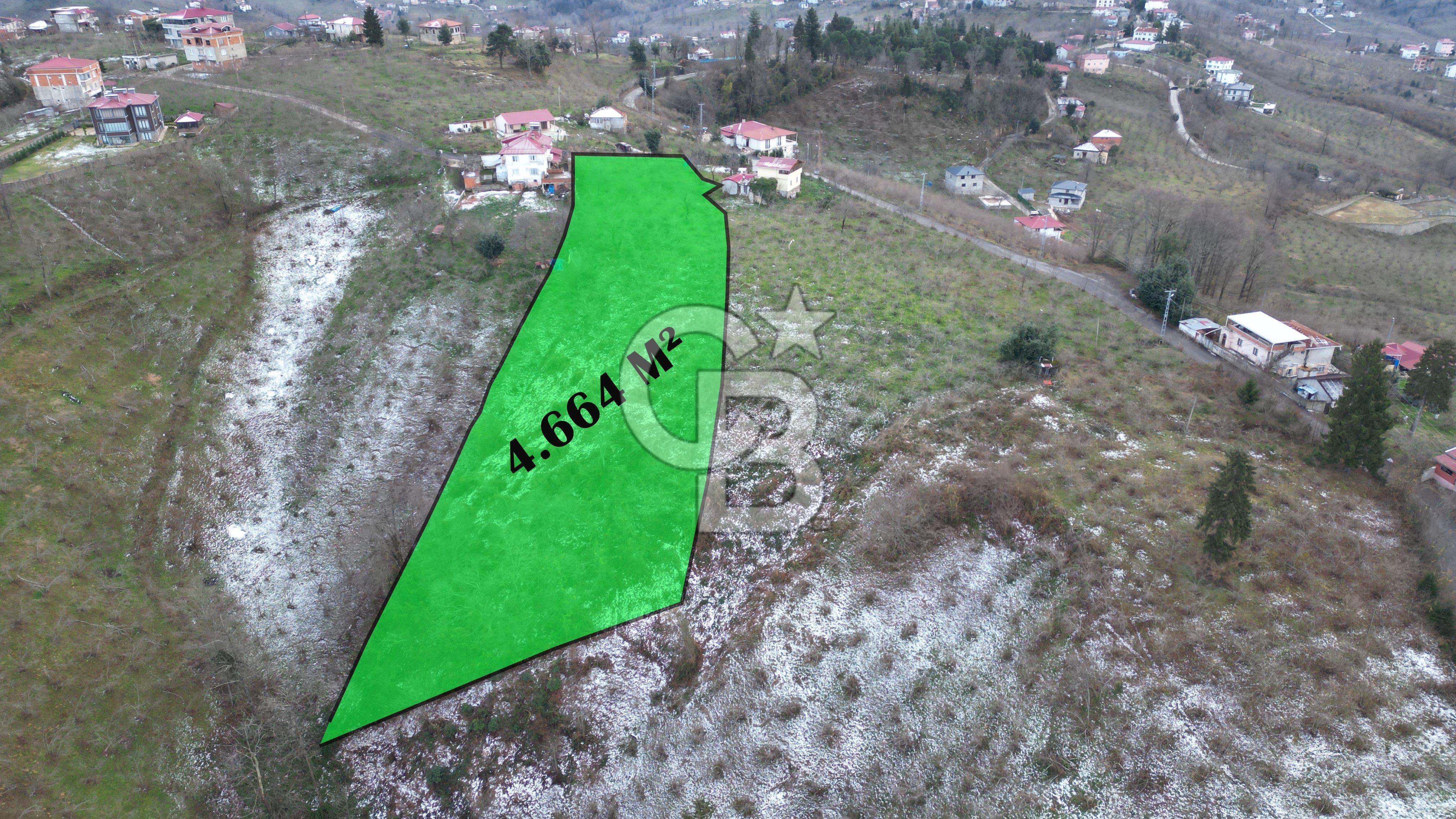 TRABZON ARSİN'DE SATILIK ARSA