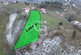 TRABZON ARSİN'DE SATILIK ARSA - 1 - 327584