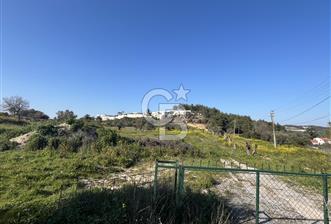 Urla Kalabak'ta Kekliktepe Komşu Satılık Zeytinlik Arazi - 1 - 338754