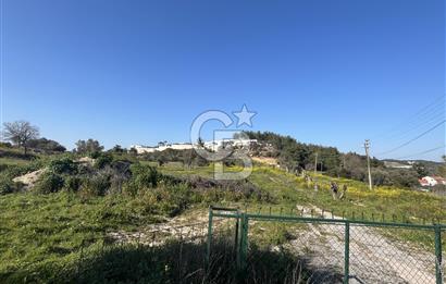 Urla Kalabak'ta Kekliktepe Komşu Satılık Zeytinlik Arazi