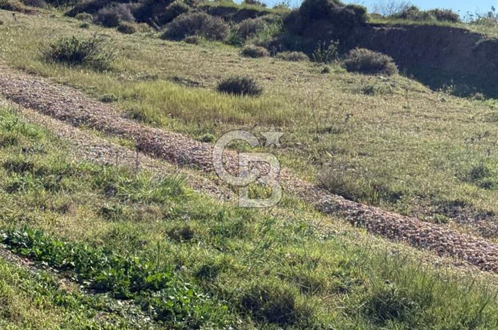 İzmir Çiğli Harmandalı Satlık Fırsat Arsa