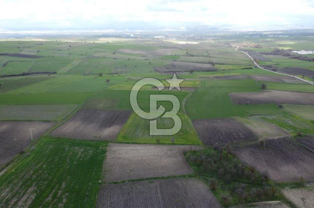 CB KİNG'DEN ORHANLI MAHALLESİ SATILIK TARLA