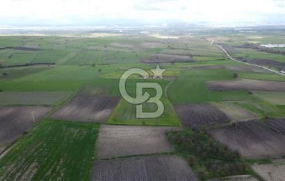CB KİNG'DEN ORHANLI MAHALLESİ SATILIK TARLA