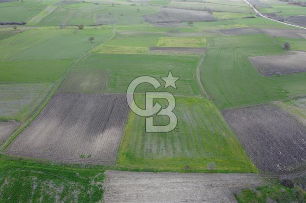 CB KİNG'DEN ORHANLI MAHALLESİ SATILIK TARLA