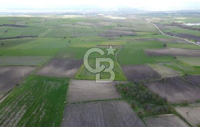 CB KİNG'DEN ORHANLI MAHALLESİ SATILIK TARLA