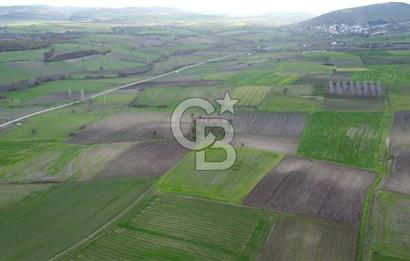 CB KİNG'DEN ORHANLI MAHALLESİ SATILIK TARLA
