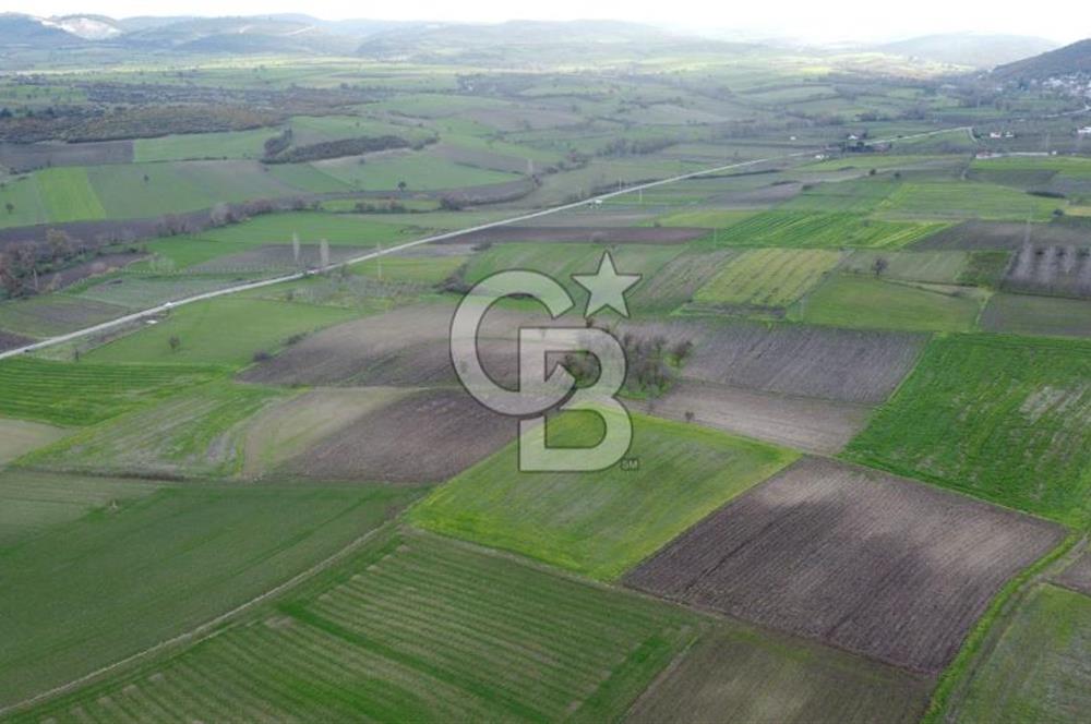 CB KİNG'DEN ORHANLI MAHALLESİ SATILIK TARLA