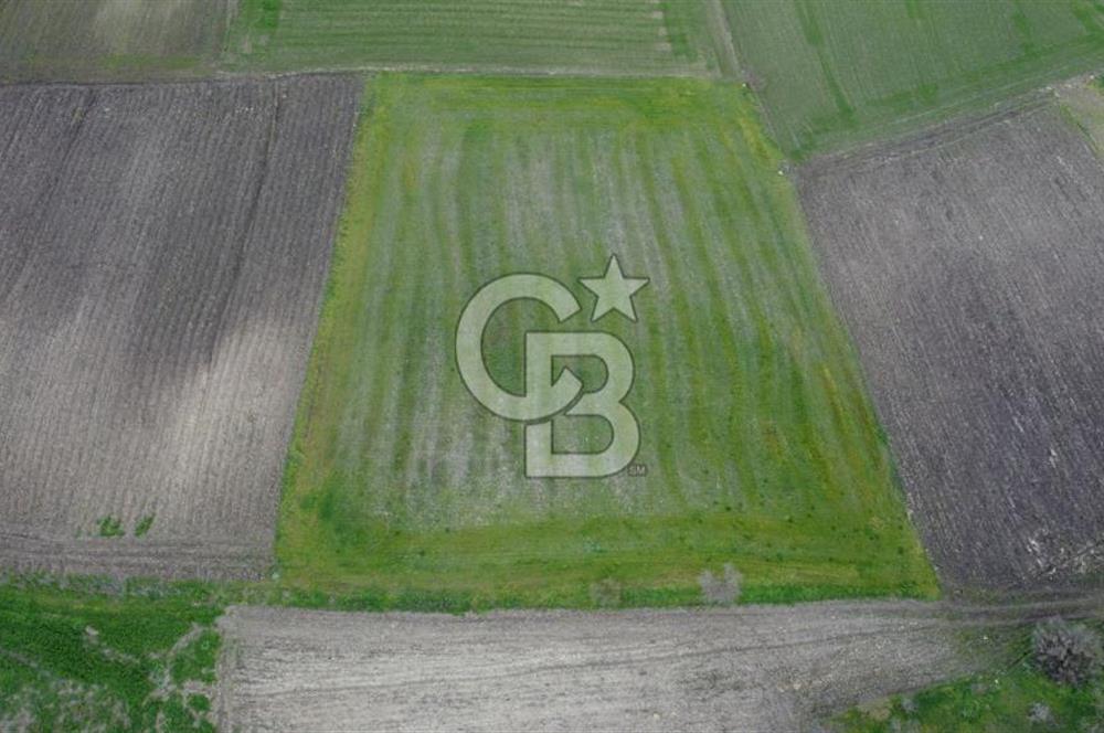 CB KİNG'DEN ORHANLI MAHALLESİ SATILIK TARLA