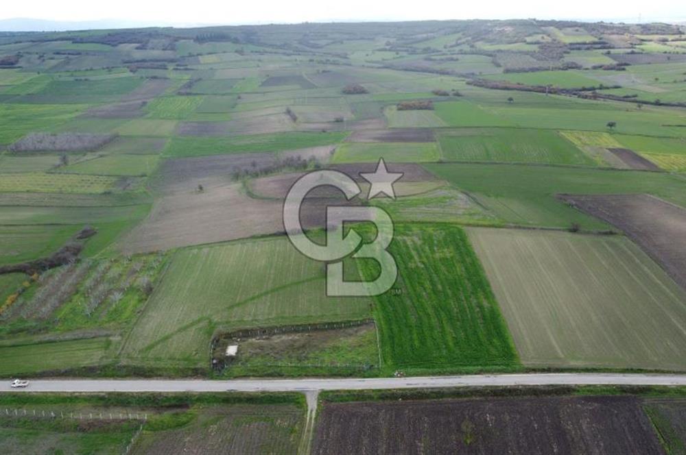 CB KİNG'DEN ORHANLI MAHALLESİ SATILIK TARLA