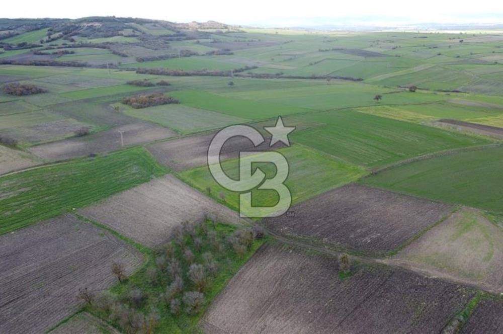 CB KİNG'DEN ORHANLI MAHALLESİ SATILIK TARLA