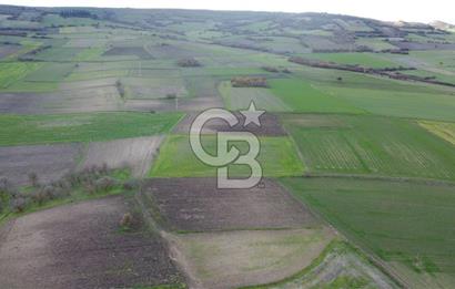 CB KİNG'DEN ORHANLI MAHALLESİ SATILIK TARLA