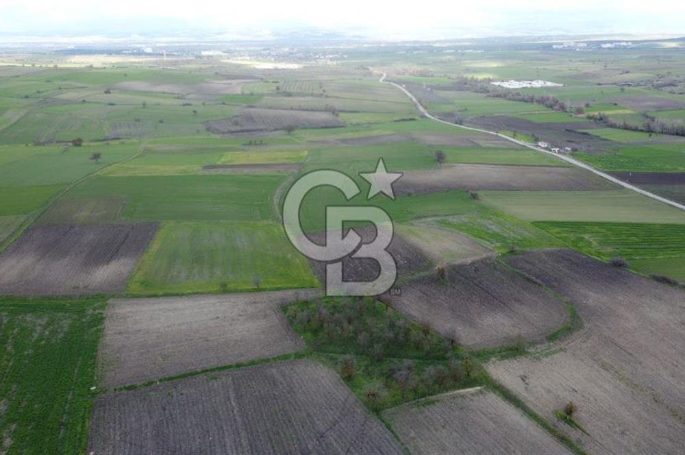 CB KİNG'DEN ORHANLI MAHALLESİ SATILIK TARLA