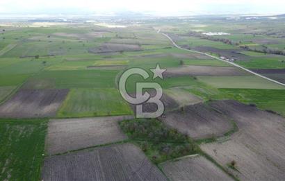 CB KİNG'DEN ORHANLI MAHALLESİ SATILIK TARLA