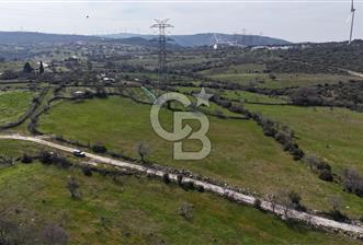 Bergama Maruflar'da Gölet Yakını Satılık Tarla - 1 - 343148