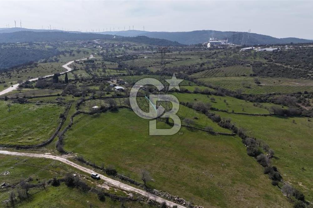 Bergama Maruflar'da Gölet Yakını Satılık Tarla