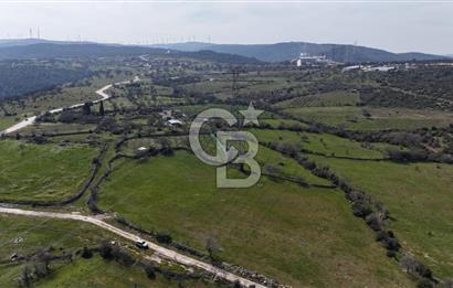 Bergama Maruflar'da Gölet Yakını Satılık Tarla
