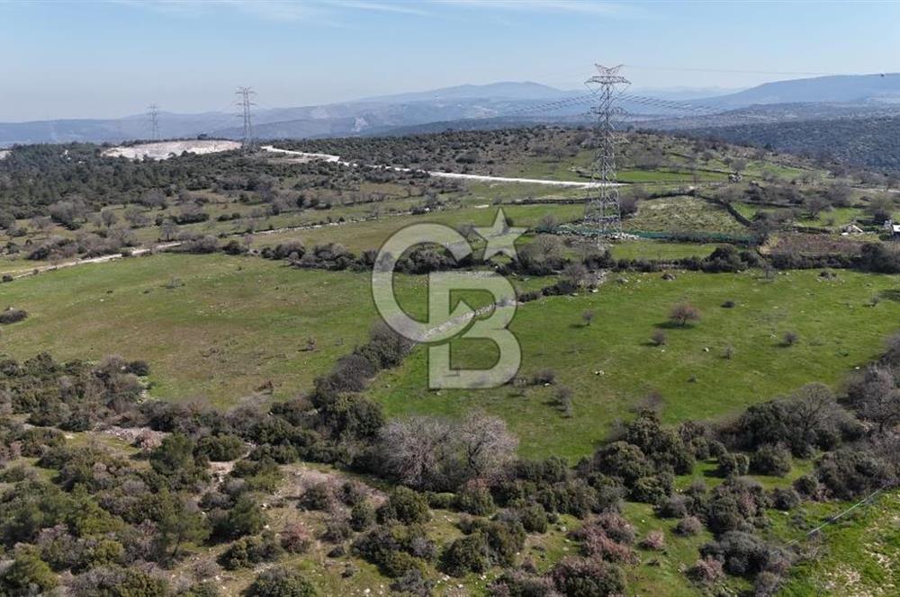 Bergama Maruflar'da Gölet Yakını Satılık Tarla