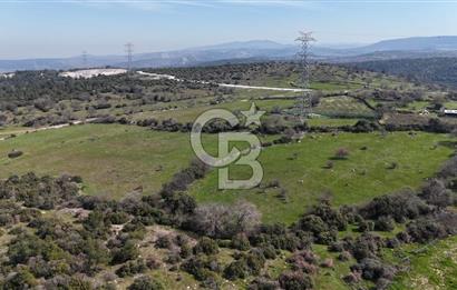 Bergama Maruflar'da Gölet Yakını Satılık Tarla